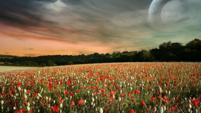 如何理性看待禁酒令？